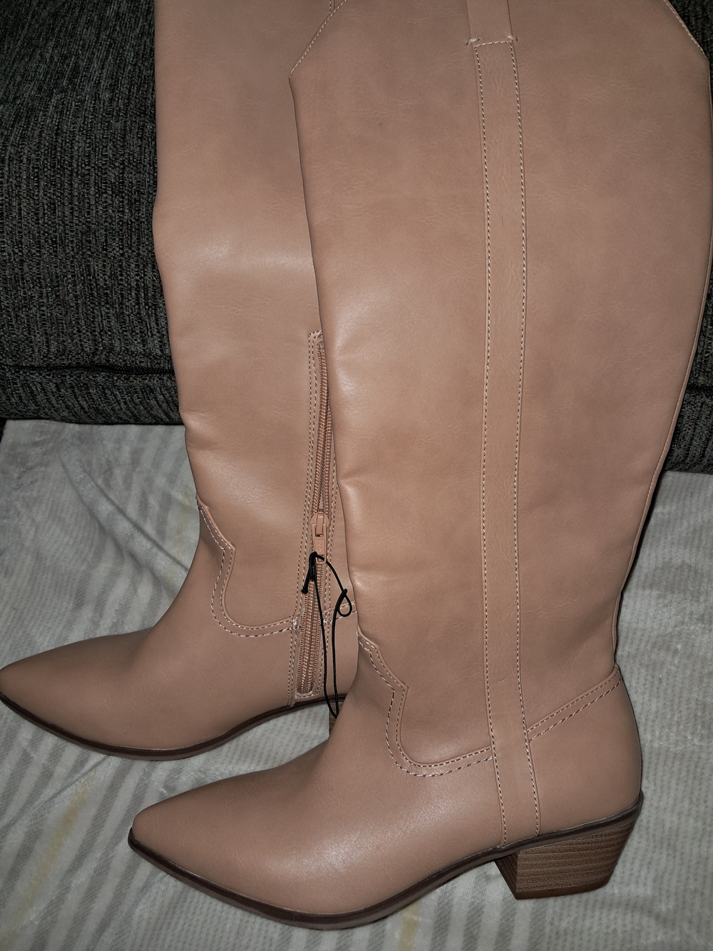 Target Blush Over-the-Knee Pointed Toe Block Heel Boots